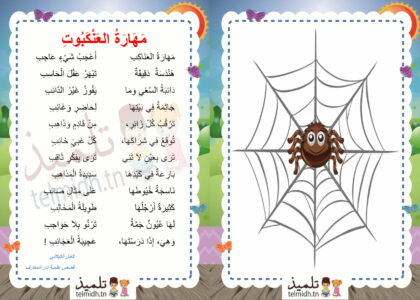 مهارة العنكبوت