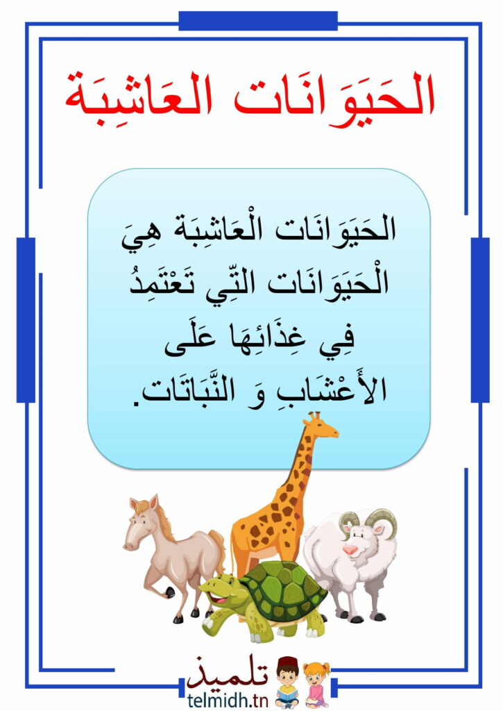 الحيوانات العاشبة