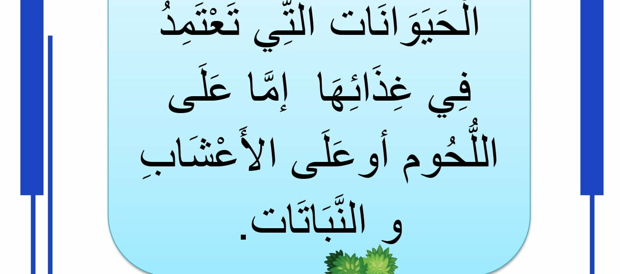 الحيوانات الكالشة