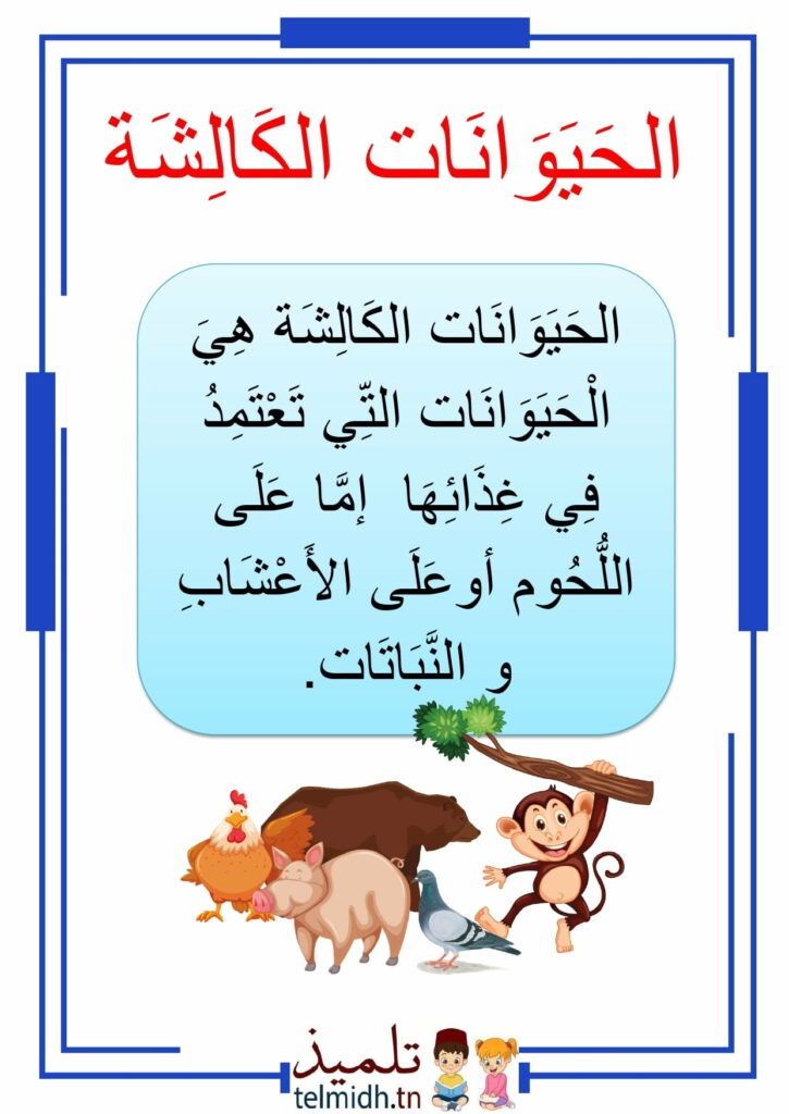 الحيوانات الكالشة