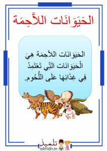 الحيوانات اللاحمة