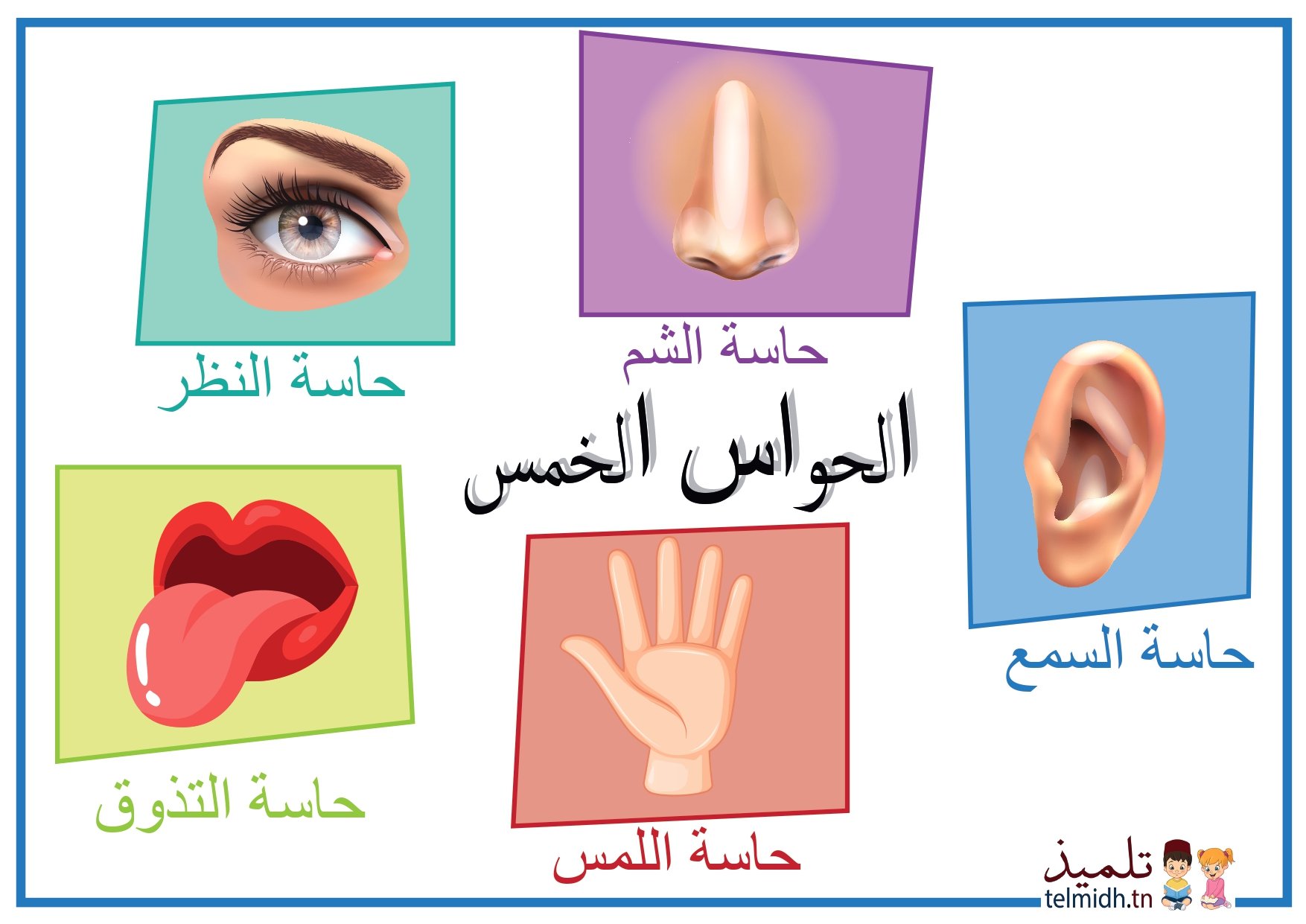 الحواس - تلميذ