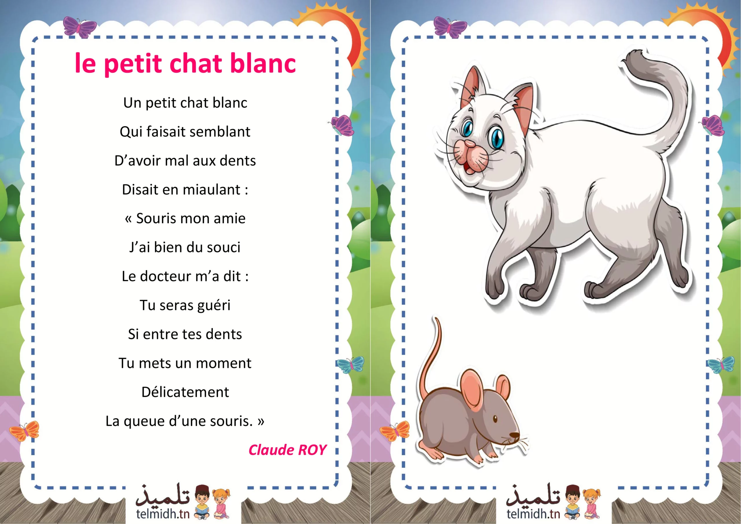 le petit chat blanc - Telmidh